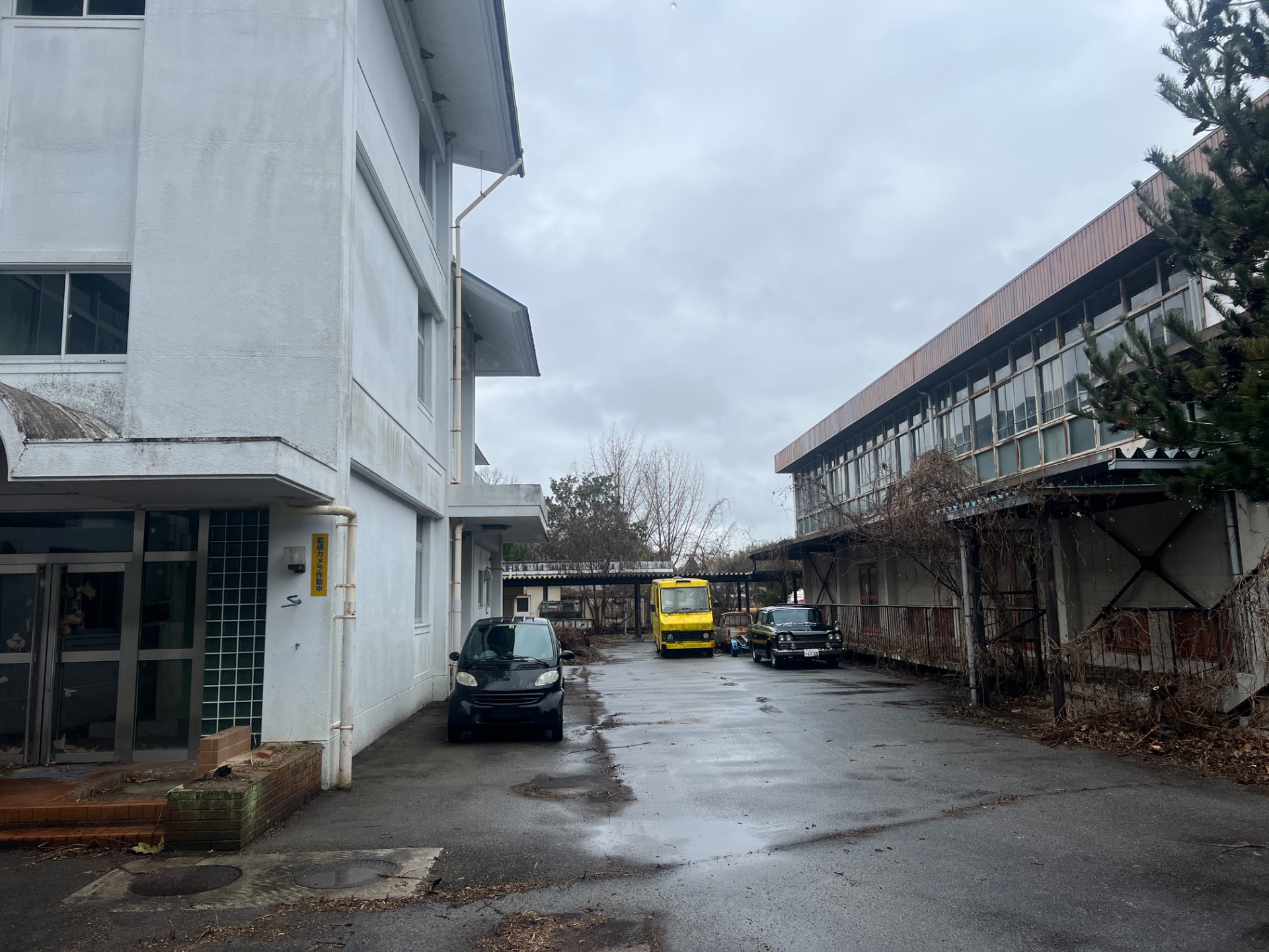 校舎と体育館の間